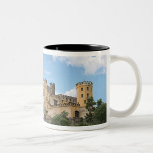 Koblenz, Deutschland, Stolzenfels Burg, Schloss Zweifarbige Tasse