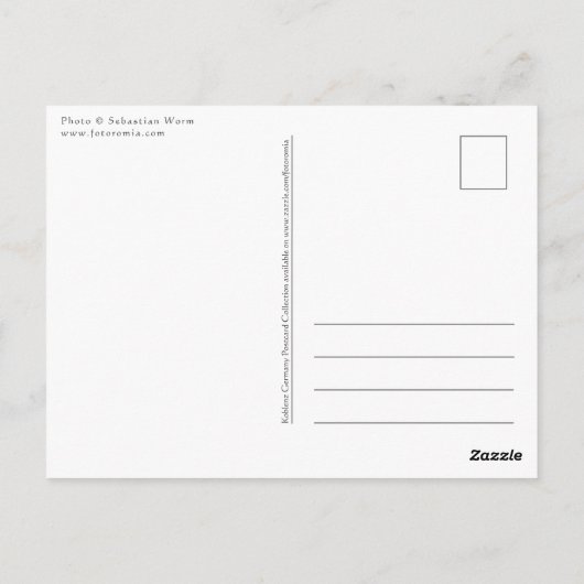 Koblenz Neuendorf Postkarte (Rückseite)