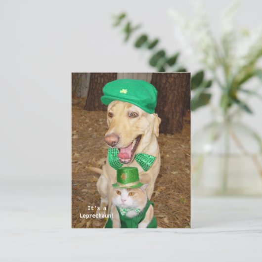 Kobold-Sighting! Postkarte (Stehend Vorderseite)