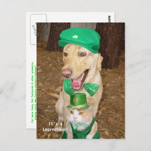 Kobold-Sighting! Postkarte (Vorne/Hinten)