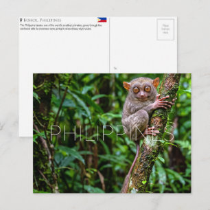 Koboldmaki auf Bohol, Philippinen Reise-Postkarte Postkarte