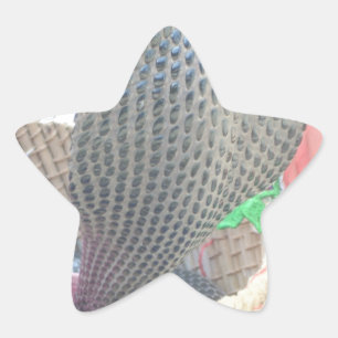 Kobra im Korb Kunstprint Stern-Aufkleber