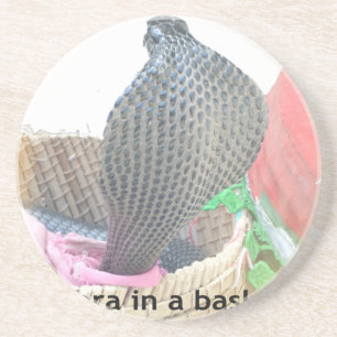 Kobra in einem Korb bereit zum Sprengen des Feuers Getränkeuntersetzer