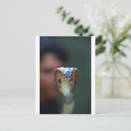 Kobra Postkarte (Stehend Vorderseite)