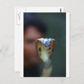 Kobra Postkarte (Vorne/Hinten)