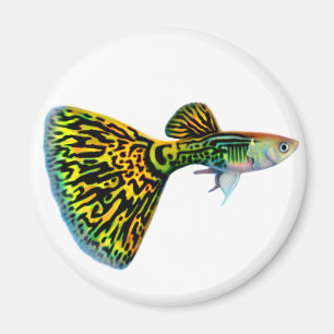 Kobra Snakeskin Guppy-Magnet Magnet