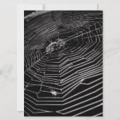 Kobrenne und weiße Spinnen zum Geburtstag Einladung (Rückseite)