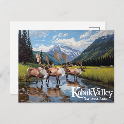 Kobuk Valley Caribou Herd Alaska Art Postkarte (Vorne/Hinten)