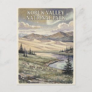 Kobuk Valley Nationalpark Arktische Sanddünen Postkarte
