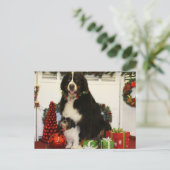 Kobus und Grover - Eiting - Foto 4 Postkarte (Stehend Vorderseite)