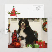 Kobus und Grover - Eiting - Foto 4 Postkarte (Vorne/Hinten)