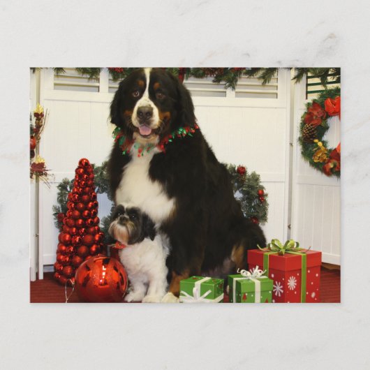 Kobus und Grover - Eiting - Foto 4 Postkarte (Vorderseite)