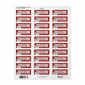 Koch Cooking (Vorne)