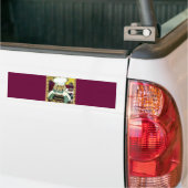 Koch Golden Retriever Autoaufkleber (Auf Lkw)