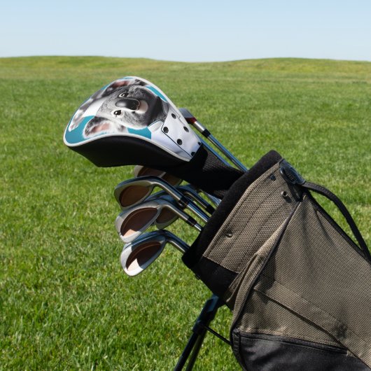 Koch Koala Golf Headcover (In SItu)