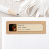 Koch - Obst - Äpfel (Insitu)