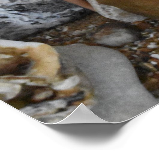 Koch Sonderaktion. Poster (Ecke)