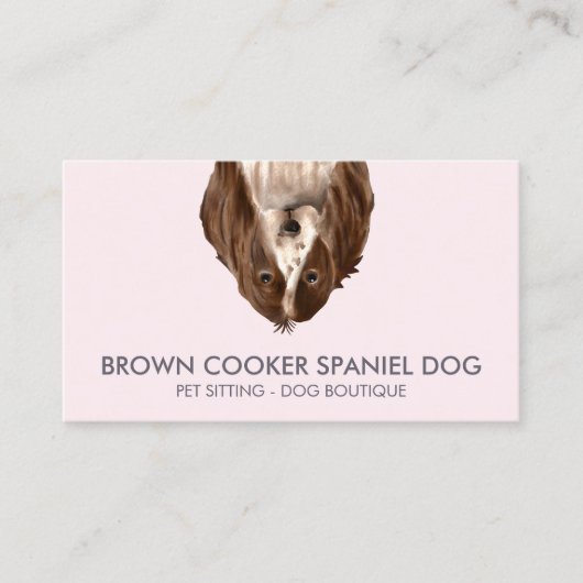 Koch Spaniel Hund Visitenkarte (Vorderseite)