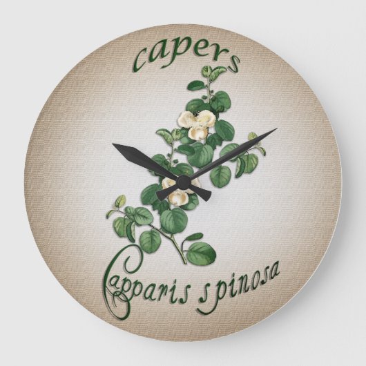 Koch Uhr Caper Vintage Abbildung (Vorderseite)