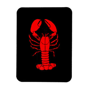 Koch und Hummer Cartoon Hummer Liebhaber Geschen Magnet