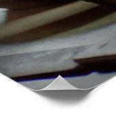 Koch - Winterreserve Poster (Ecke)
