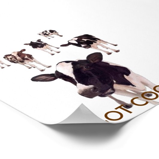 KOCHEN got? Poster (Ecke)