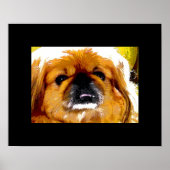 Kochi Poster (Vorne)