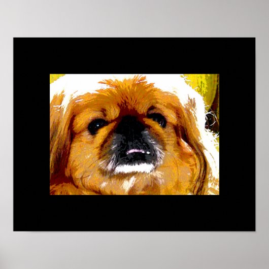 Kochi Poster (Vorne)