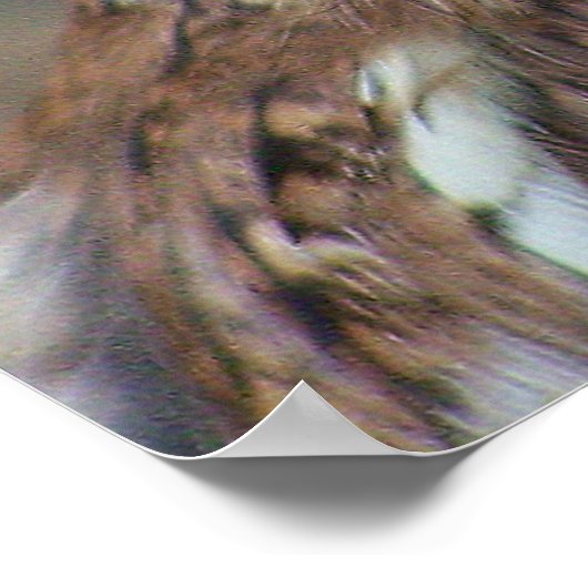 Kochschale Poster (Ecke)