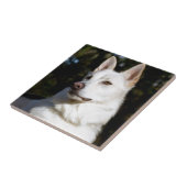 Kodah Der weiße Schäferhund Wolfdog Fliese (Seite)