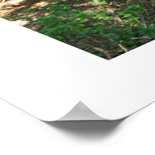 Kodai-mon Poster (Ecke)