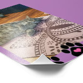 Kodak Beruflich Foto Paper (Satin) (Ecke)