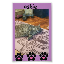 Kodak Beruflich Foto Paper (Satin)