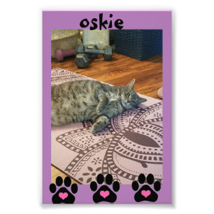 Kodak Beruflich Foto Paper (Satin)