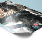 Kodak Beruflich Foto Paper (Satin) (Ecke)