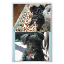 Kodak Beruflich Foto Paper (Satin)