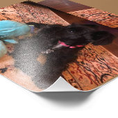 Kodak Beruflich Foto Paper (Satin) (Ecke)