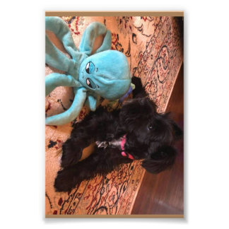 Kodak Beruflich Foto Paper (Satin)