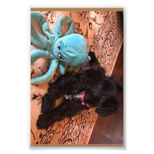 Kodak Beruflich Foto Paper (Satin) (Vorne)