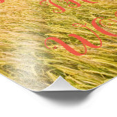 Kodak Beruflich Foto Paper (Satin) Foto Enlar (Ecke)