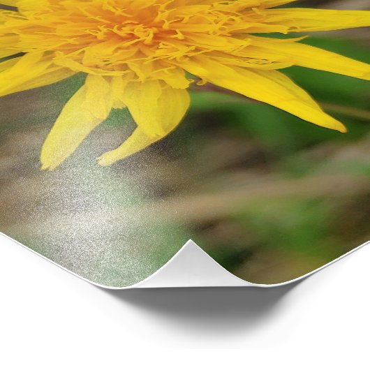 Kodak Beruflich Foto Paper (Satin) Foto Enlar (Ecke)