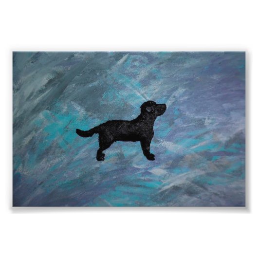 Kodak Beruflich Foto Paper (Satin) Foto Enlar (Vorne)