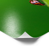 Kodak Beruflich Foto Paper (Satin) Foto Enlar (Ecke)