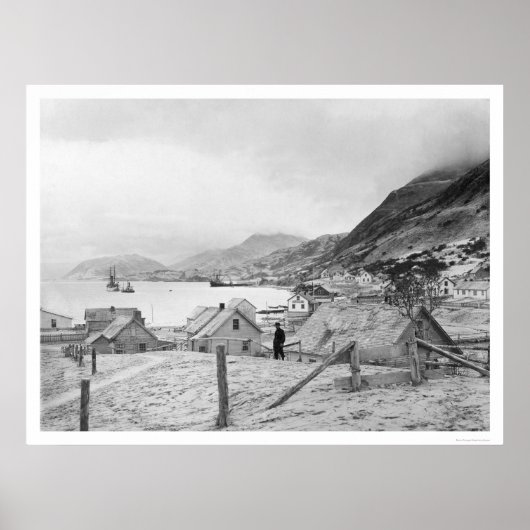 Kodiak, Alaska Panorama 1909 Poster (Vorne)