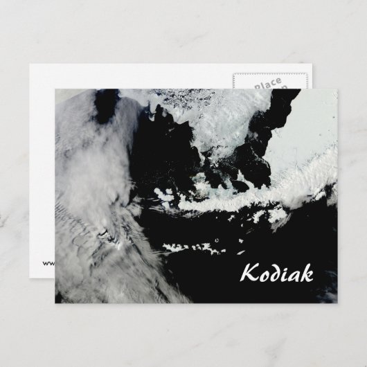 Kodiak Alaska Postcard Postkarte (Vorne/Hinten)