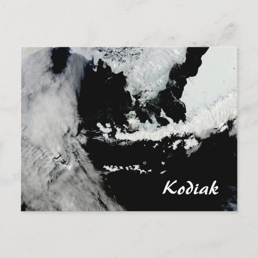 Kodiak Alaska Postcard Postkarte (Vorderseite)