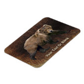 Kodiak-Bär auf Kariou-Fur Magnet (Linke Seite)