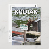 Kodiak Bär bricht die Regeln Postkarte (Vorne/Hinten)