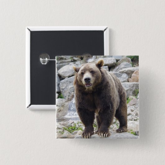 Kodiak Bär Button (Vorne & Hinten)