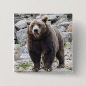 Kodiak Bär Button (Vorderseite)